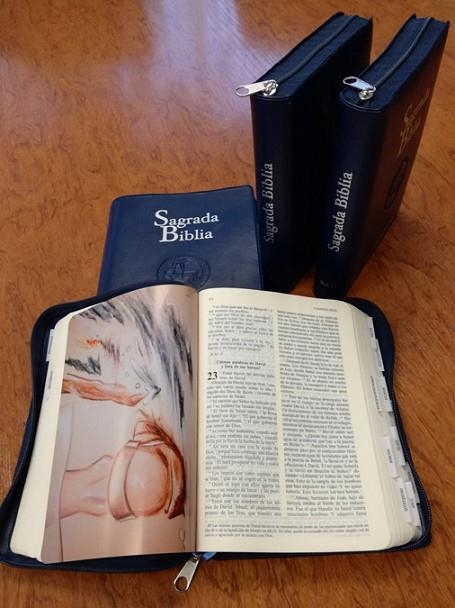 SAGRADA BIBLIA VERSION OFICIAL DE LA CEE (ESTUCHE) | 9788422019312