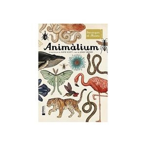 ANIMALIUM BENVINGUTS AL MUSEU | 9788415315223 | SCOT, KATIE