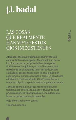 LAS COSAS QUE REALMENTE HAN VISTO ESTOS OJOS INEXISTENTES | 9788416738151 | BADAL, JOSEP LLUíS