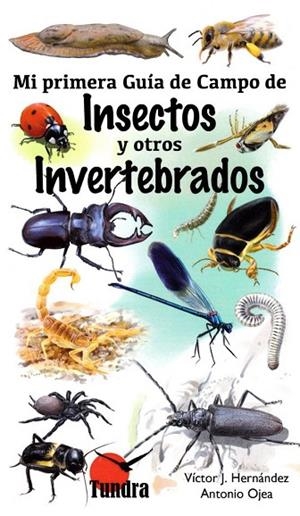 MI PRIMERA GUIA DE CAMPO DE INSECTOS Y OTROS INVERTEBRADOS | 9788416702435 | HERNANDEZ,VICTOR J. / VICTOR OJEA