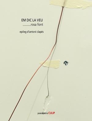 EM DIC LA VEU | 9788489885998 | FONT,ROSA