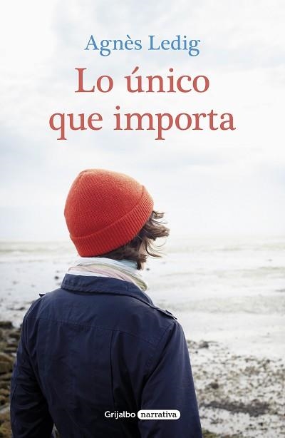LO UNICO QUE IMPORTA | 9788425355929 | LEDIG,AGNES