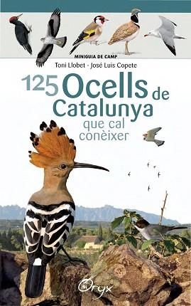 125 OCELLS DE CATALUNYA QUE CAL CONEIXER | 9788490346747 | LLOBET FRANçOIS, TONI/COPETE, JOSé LUIS