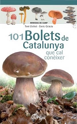 101 BOLETS DE CATALUNYA QUE CAL CONEIXER | 9788490347096 | LLOBET FRANçOIS, TONI/GRàCIA, ENRIC
