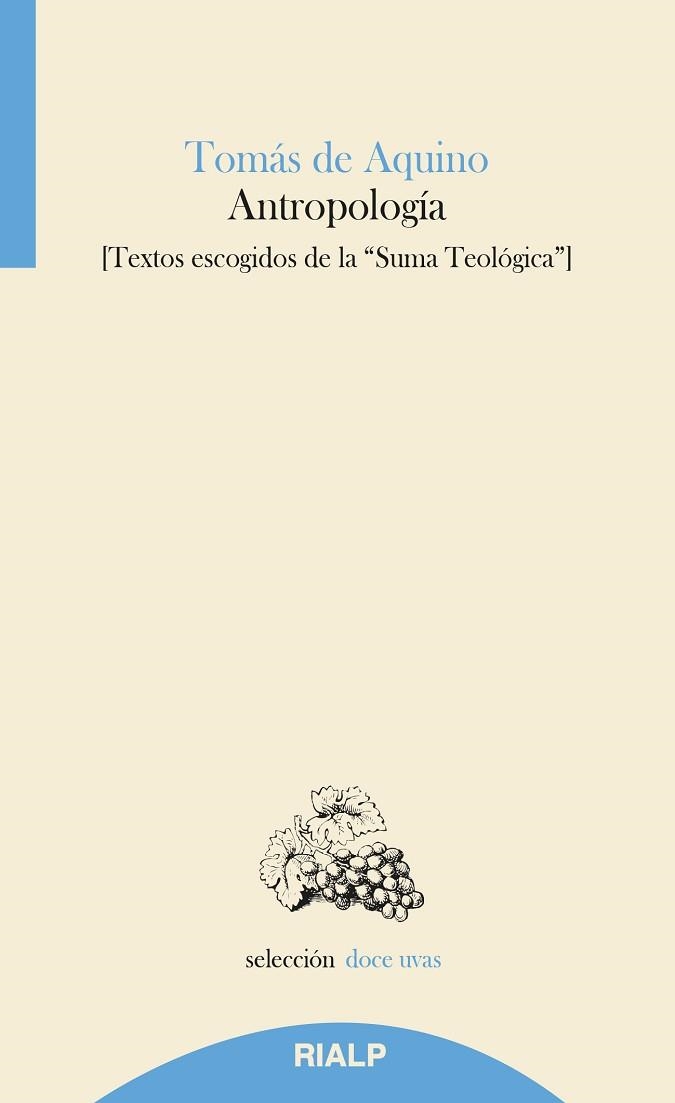 ANTROPOLOGÍA. TEXTOS ESCOGIDOS DE LA SUMA TEOLÓGICA | 9788432147531 | DE AQUINO, SANTO TOMáS