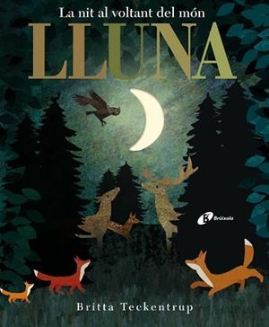 LLUNA. LA NIT AL VOLTAN DEL MON | 9788499068497 | TECKENTRUP,BRITTA