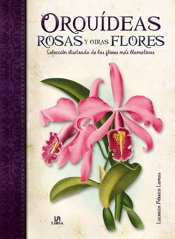 ORQUÍDEAS, ROSAS Y OTRAS FLORES | 9788466225632 | PÉRSICO LAMAS, LUCRECIA/EQUIPO EDITORIAL