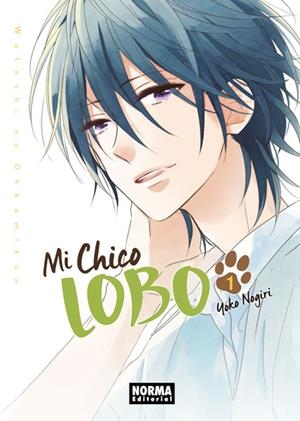 MI CHICO LOBO 1 | 9788467930504 | NOGIRI,YOKO
