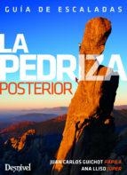 LA PEDRIZA POSTERIOR. GUIA DE ESCALADAS | 9788498294248 | GUICHOT JIMÉNEZ, JUAN CARLOS/LLISO MARTI-FLUXA, ANA