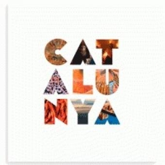 CATALUNYA CATALA-ESPAÑOL-ENGLISH-FRANÇAIS | 9788484788065 | PLA BOADA, RICARD/PUIG CASTELLANO, JORDI/ROIG CASAMITJANA, SEBASTIÀ/VIVAS ORTIZ, PERE