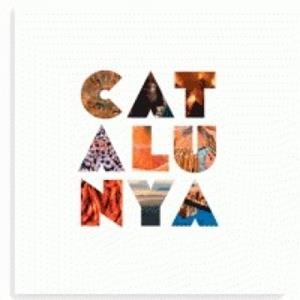 CATALUNYA CATALA-ESPAÑOL-ENGLISH-FRANÇAIS | 9788484788065 | PLA BOADA, RICARD/PUIG CASTELLANO, JORDI/ROIG CASAMITJANA, SEBASTIÀ/VIVAS ORTIZ, PERE