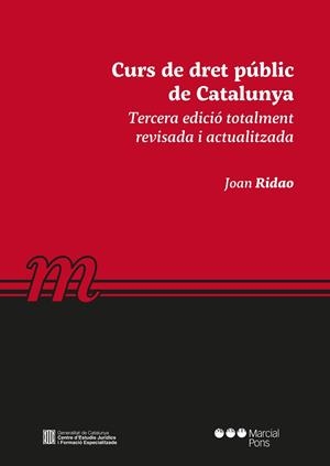 CURS DE DRET PUBLIC DE CATALUNYA | 9788491235255 | RIDAO,JOAN