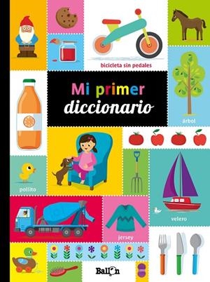 MI PRIMER DICCIONARIO | 9789403207575