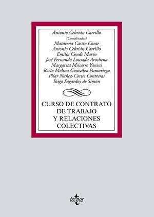 CURSO DE CONTRATO DE TRABAJO Y RELACIONES COLECTIVAS | 9788430976034 | CEBRIÁN CARRILLO, ANTONIO/CASTRO CONTE, MACARENA/CONDE MARÍN, EMILIA/MIÑARRO YANINI, MARGARITA/MOLIN