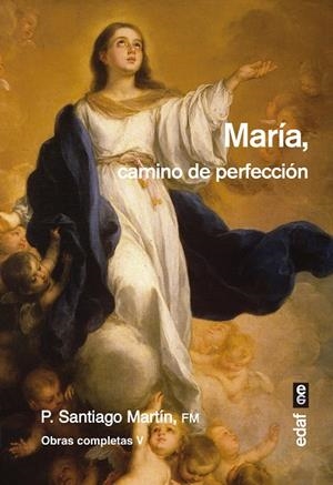 MARÍA, CAMINO DE PERFECCIÓN | 9788441439146 | MARTÍN RODRÍGUEZ, PADRE SANTIAGO