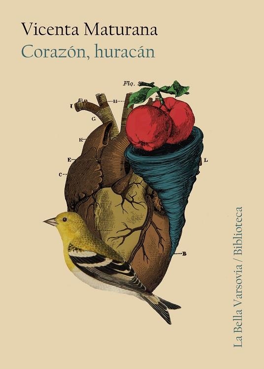 CORAZON HURACAN | 9788494841217 | MATURANA,VICENTA