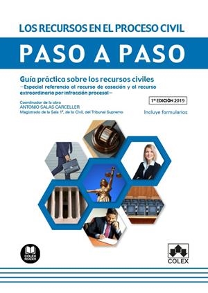 LOS RECURSOS EN EL PROCESO CIVIL. PASO A PASO. GUÍA PRÁCTICA SOBRE LOS RECURSOS CIVILES. ESPECIAL REFERENCIA AL RECURSO DE CASACIÓN Y AL RECURSO EXTRA | 9788417618377 | SALAS CARCELLER, ANTONIO/LAGO GARMA, ANA