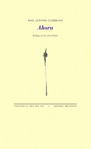 AHORA | 9788417830175 | ZAMBRANO, JOSÉ ANTONIO