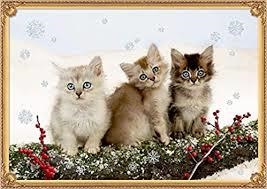 CALENDARI D'ADVENT GATS | 4050003715780