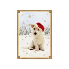 CALENDARI D'ADVENT PERMANENT  GOSSOS | 4050003715797