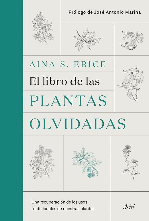 EL LIBRO DE LAS PLANTAS OLVIDADAS. UNA RECUPERACIÓN DE LOS USOS TRADICIONALES DE NUESTRAS PLANTAS | 9788434431461 | S. ERICE, AINA
