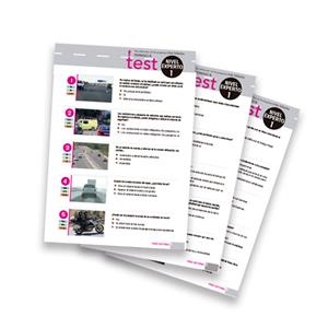 CUESTIONARIO NIVEL EXPERTO 1 (PERMISO B) | 020201