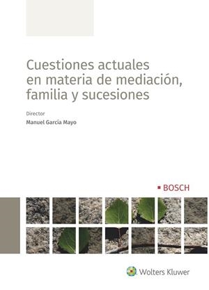 CUESTIONES ACTUALES EN MATERIA DE MEDIACIÓN, FAMILIA Y SUCESIONES | 9788490904381 | GARCIA MAYO,MANUEL