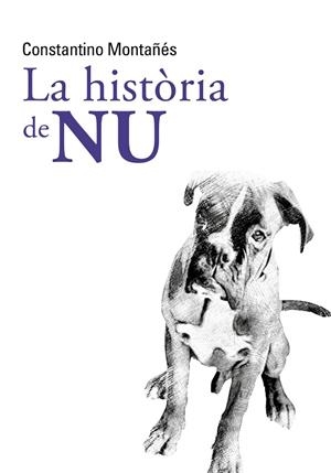LA HISTÒRIA DE NU | 9788413031996 | MONTAÑÉS NÚÑEZ, CONSTANTINO