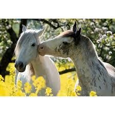 PUZZLE CAVALLS 100 PECES +5 ANYS | 4029753126740