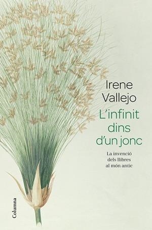 L'INFINIT DINS D'UN JONC. LA INVENCIÓ DELS LLIBRES AL MÓN ANTIC | 9788466426947 | VALLEJO, IRENE
