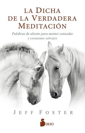 LA DICHA DE LA VERDADERA MEDITACIÓN. PALABRAS DE ALIENTO PARA MENTES CANSADAS Y CORAZONES SALVAJES | 9788418000522 | FOSTER, JEFF