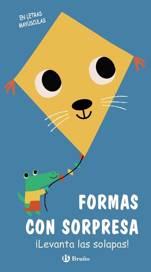 FORMAS CON SORPRESA. LEVANTA LAS SOLAPAS! | 9788469628393