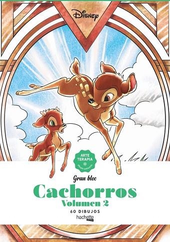 CACHORROS VOLUMEN 2 60 DIBUJOS ARTETERAPIA | 9788417586676 | VARIOS AUTORES