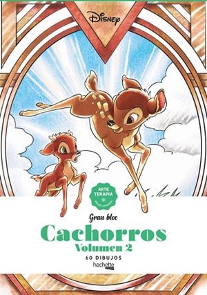 CACHORROS VOLUMEN 2 60 DIBUJOS ARTETERAPIA | 9788417586676 | VARIOS AUTORES