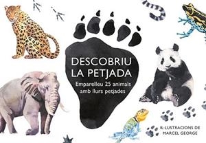 DESCOBRIU LA PETJADA. EMPARELLEU 25 ANIMALS AMB LLURS PETJADES | 8425402405857 | GEORGE,MARCEL