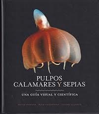 PULPOS, CALAMARES Y SEPIAS. UNA GUIA VISUAL CIENTIFICA | 9788428217217 | HANLON, ROGER/VECCHIONE, MIKE/ALLCOCK, LOUISE