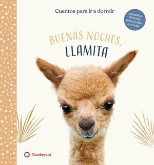 BUENAS NOCHES, LLAMITA | 9788417749941 | WOOD, AMANDA