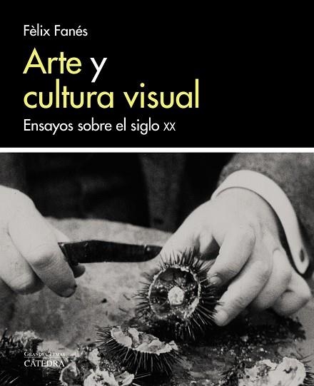 ARTE Y CULTURA VISUAL. ENSAYOS SOBRE EL SIGLO XX | 9788437638058 | FANÉS, FÈLIX