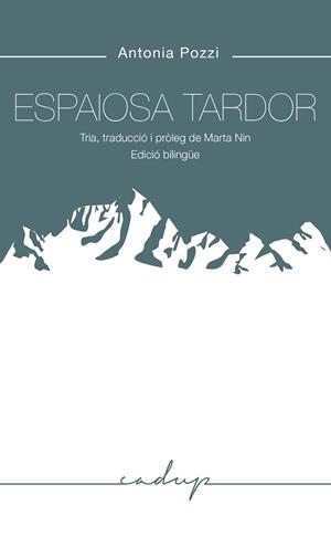ESPAIOSA TARDOR (BILINGUE ITALIA-CATALA) | 9788412307214 | POZZI, ANTONIA