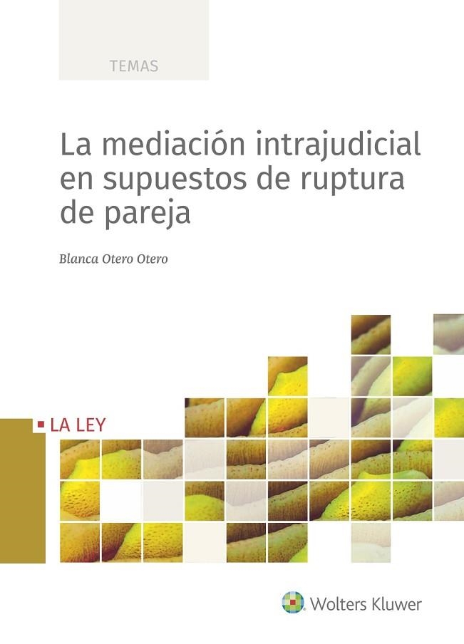 LA MEDIACIÓN INTRAJUDICIAL EN SUPUESTOS DE RUPTURA DE PAREJA | 9788418662164 | OTERO OTERO, BLANCA