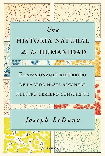 UNA HISTORIA NATURAL DE LA HUMANIDAD. EL APASIONANTE RECORRIDO DE LA VIDA HASTA ALCANZAR NUESTRO CEREBRO CONSCIENTE | 9788449338274 | LEDOUX, JOSEPH