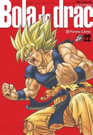 BOLA DE DRAC 22/34 | 9788413419046 | TORIYAMA, AKIRA