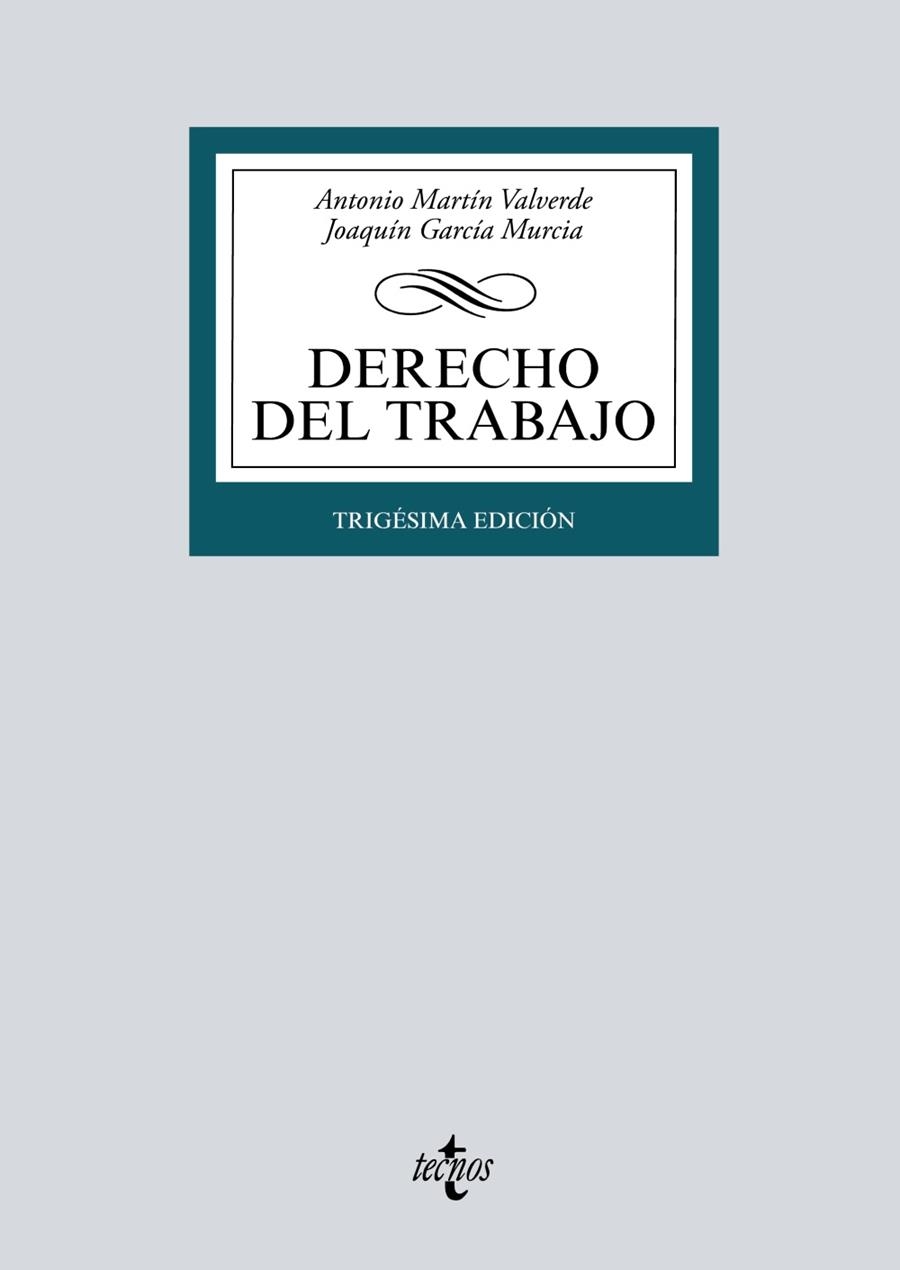 DERECHO DEL TRABAJO | 9788430982486 | MARTÍN VALVERDE, ANTONIO/GARCÍA MURCIA, JOAQUÍN