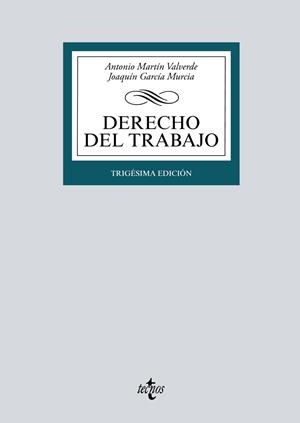 DERECHO DEL TRABAJO | 9788430982486 | MARTÍN VALVERDE, ANTONIO/GARCÍA MURCIA, JOAQUÍN