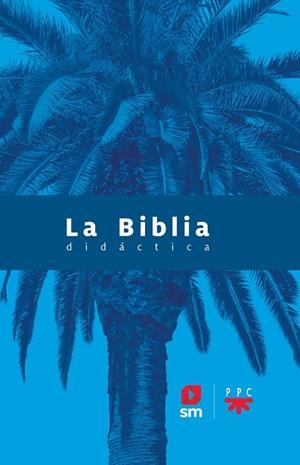LA BIBLIA DIDÁCTICA - 2020 | 9788413183039 | VARIOS AUTORES
