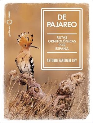 DE PAJAREO. RUTAS ORNITOLÓGICAS POR ESPAÑA | 9788408251514 | SANDOVAL, ANTONIO
