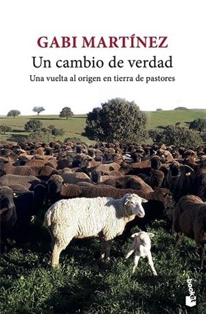 UN CAMBIO DE VERDAD | 9788432239717 | MARTÍNEZ, GABI