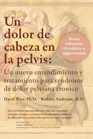 UN DOLOR DE CABEZA EN LA PELVIS | 9780983308263 | RODNEY ANDERSON / DAVID WISE