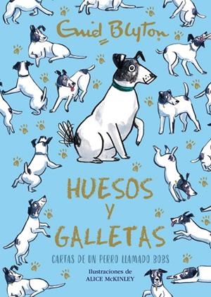 HUESOS Y GALLETAS. CARTAS DE UN PERRO LLAMADO BOBS | 9788469664582 | BLYTON, ENID