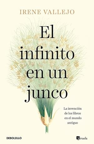 EL INFINITO EN UN JUNCO LA INVENCIÓN DE LOS LIBROS EN EL MUNDO ANTIGUO | 9788466358293 | VALLEJO, IRENE